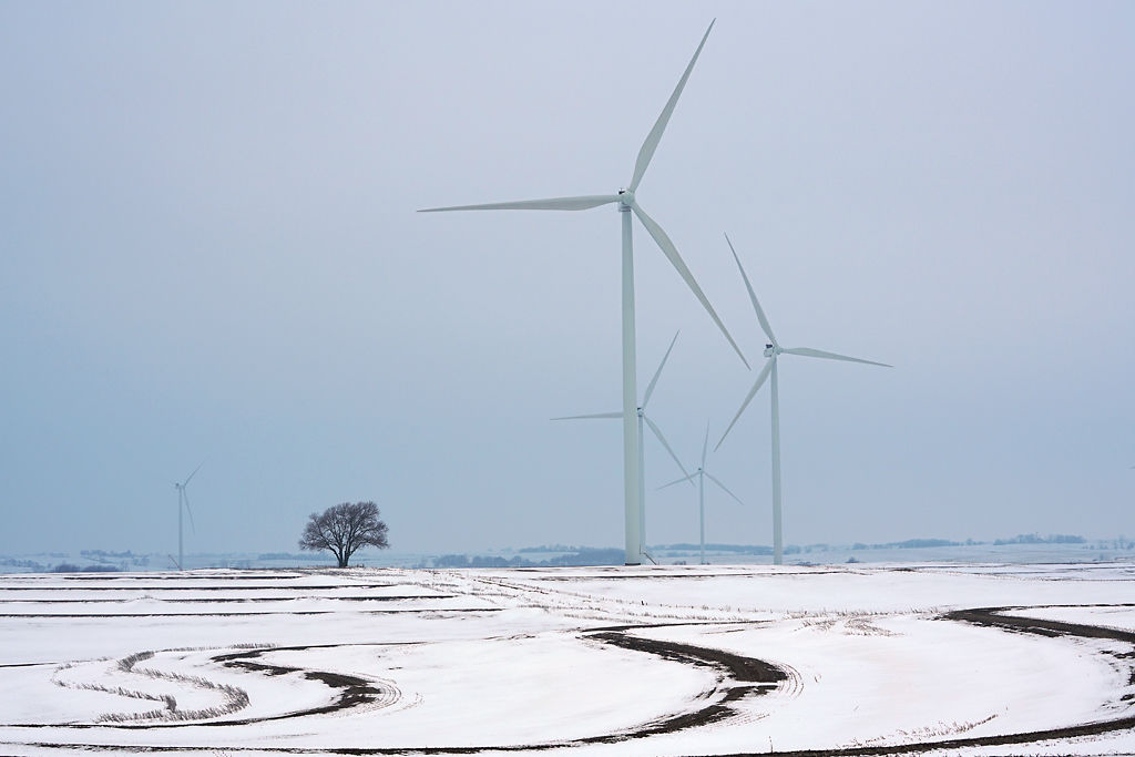 The 350-foot tall wind turbines of Atchison County stand next to a tree